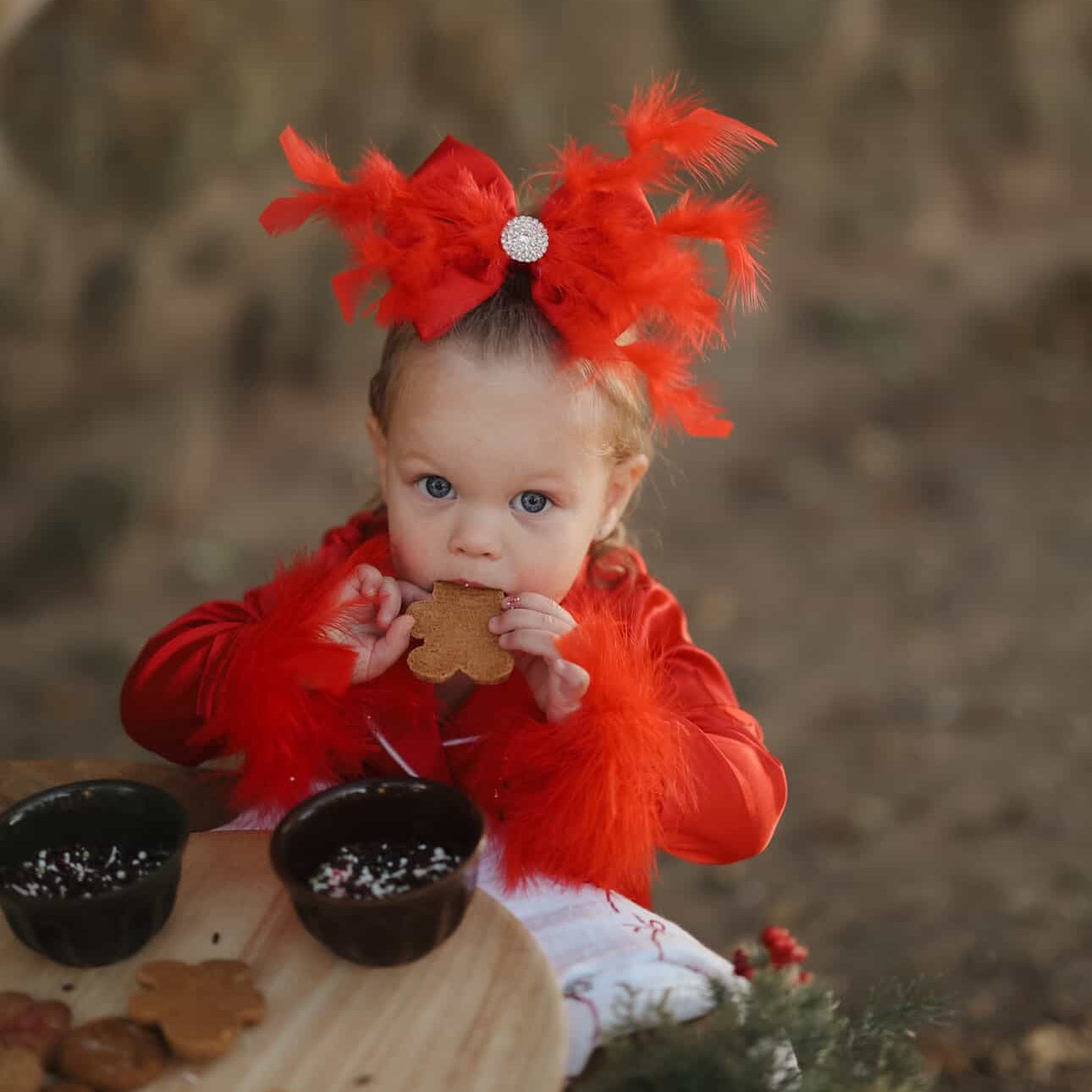 Red Satin Fluffy Feather Bow